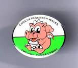Baby Dragon Badge